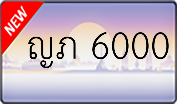 ญภ 6000